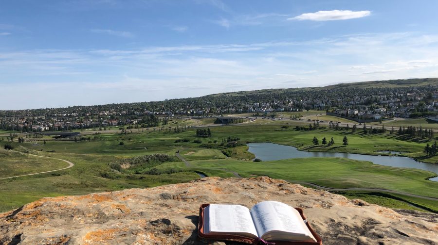 Redecouvrir La Parole Creatrice De Dieu Et La Place De L Homme Dans La Creation Diocese De Versailles