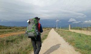 Marche Pelerin Nature