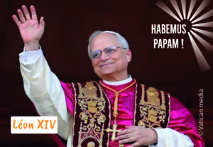 Pape 800x550