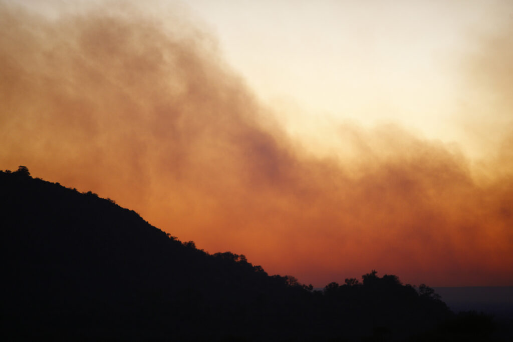 Face aux incendies et à la grêle qui frappent la France, la Conférence des évêques de France, dans un communiqué partagé ce dimanche 26 juillet, appelle les catholiques à la solidarité et à la fraternité.